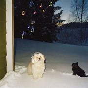 ccccc__的个人资料头像