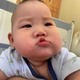 山下秋头像