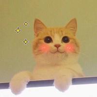 姜念JN头像