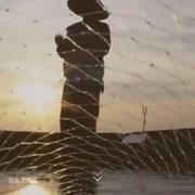 放纵835的个人资料头像