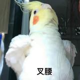 IKAROSZS头像