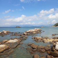 浮生若梦56921头像