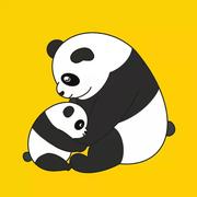 胖达学长的个人资料头像