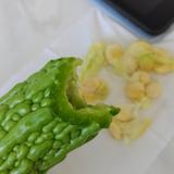 老实人TJR头像