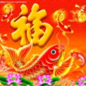 哎哟不错858头像