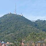 小酷短剧头像
