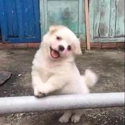 fivefive的个人资料头像