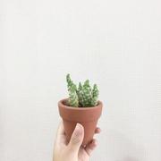 等一等吧的个人资料头像