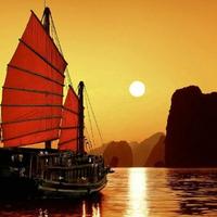 扬帆向东行头像