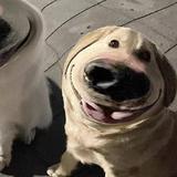 用户6587766544362头像