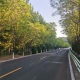 o_166169386头像