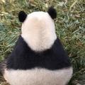 瓜田李下贤头像