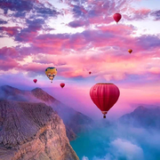 阳光普照yy的个人资料头像