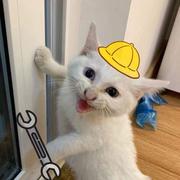 GsheN丶的个人资料头像