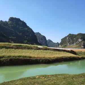 宁静乡野头像