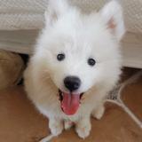 白云里8头像