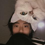 YQ349的个人资料头像