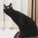 渣线团的个人资料头像