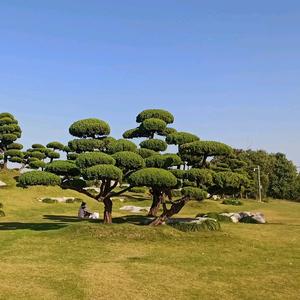 乘风破浪福禄娃头像