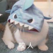 阿瑶325的个人资料头像