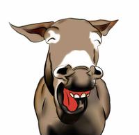 我和宠物的故事头像