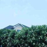 吾怂头像