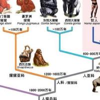 一道一道一道头像