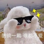 卷毛战士的个人资料头像