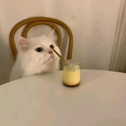 masterjediYYF的个人资料头像