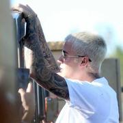 AlevenQiu的个人资料头像