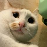 ok84615头像