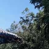 风清云淡53786头像