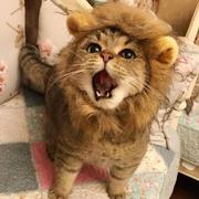 坚持努力起飞的个人资料头像