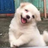 天天睡不醒671头像