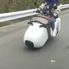 嘻嘻哒啦头像