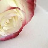 梦幻明月TT头像