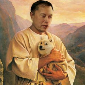 ElonMusk666头像