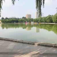 新汇车圈头像