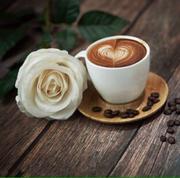 咖啡不加糖的个人资料头像