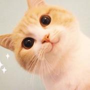fan先生的个人资料头像