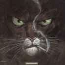 Miracle爱学习53186的个人资料头像