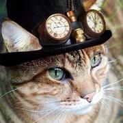 豆沙包56的个人资料头像