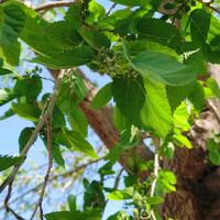 用户802506128831头像