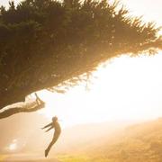 anqiuke的个人资料头像