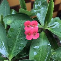 岩石34980443头像