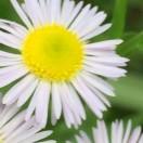 念旧N9的个人资料头像