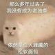 全糖面包 · 艾瑞泽8车主·车龄1年头像