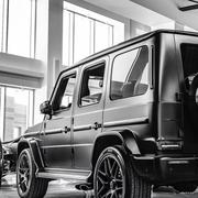 战斗小蛋蛋的个人资料头像