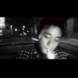 白找鱼S头像