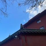 热闹船帆CUn头像